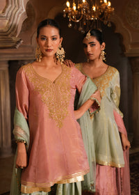 Nivasa Salmon Pink Double-Layer Anarkali Set