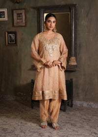 Miraaj Gold Tissue Anarkali Set