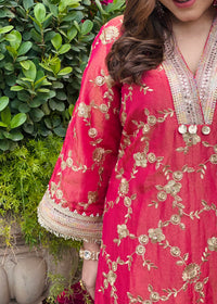 Ishita Bajaj x Laila Rust Choga Set