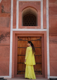 Jhalak Lime Green Anarkali Set